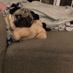 Meet your Posher, Samantha